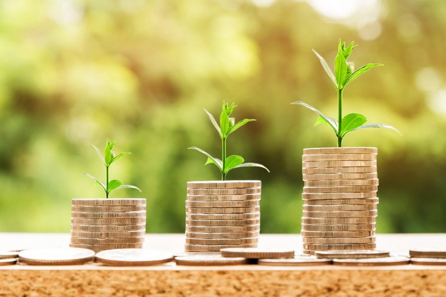 3 Ways To Be More Environmentally Friendly While Saving Money