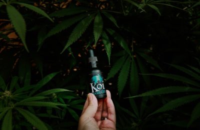 How to Store CBD Oil (Must Read If You Use CBD Oil)